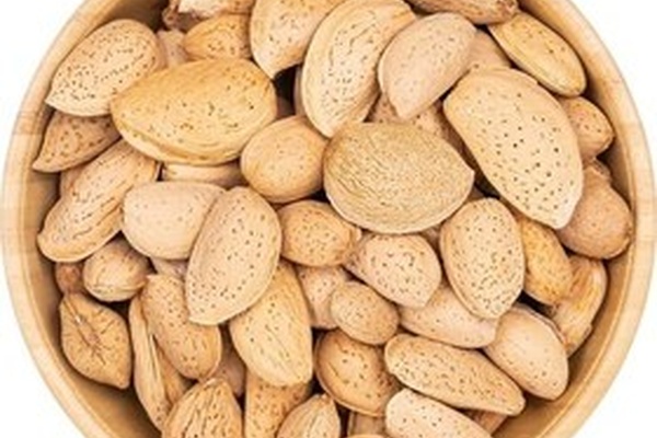 تصویر محصول بادام درختی سنگی - محصولات کشاورزی