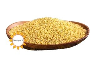 سوغات بشرویه در فروشگاه آنلاین بشگردی