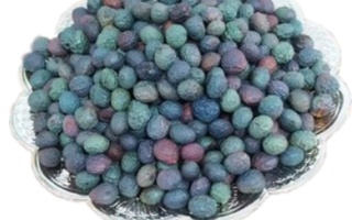 فروشگاه انلاین بشگردی در بشرویه