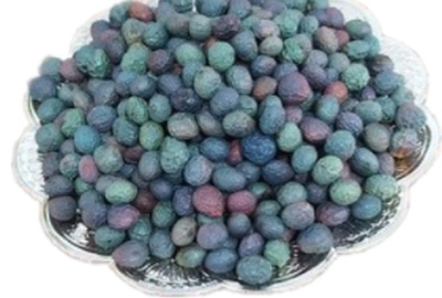 تصویر محصول بنه کوهی - گیاهان کوهی