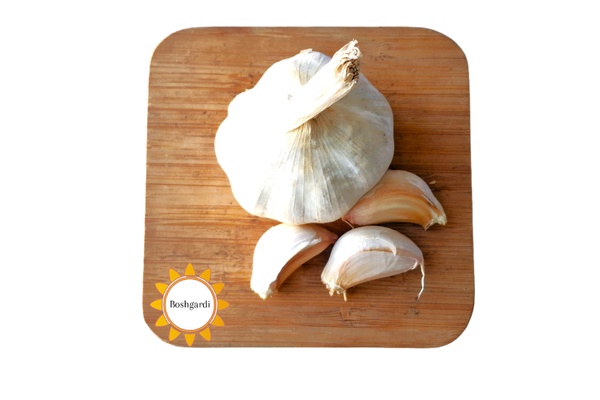 تصویر محصول سیر خام -