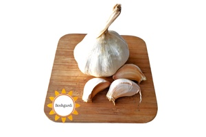 سوغات بشرویه در فروشگاه آنلاین بشگردی