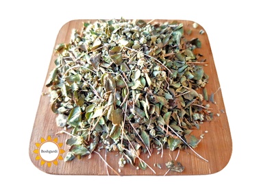 تصویر محصول آویشن - گیاهان کوهی