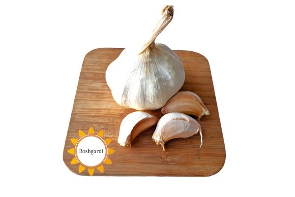 تصویر محصول سیر خام -