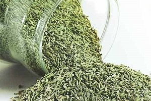 سوغات بشرویه در فروشگاه آنلاین بشگردی