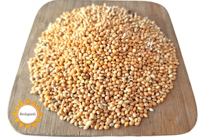 سوغات بشرویه در فروشگاه آنلاین بشگردی