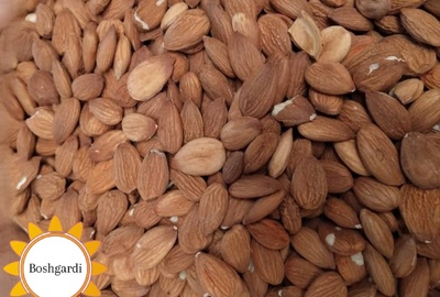 تصویر محصول مغز هسته زردآلو خام - محصولات کشاورزی