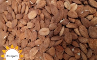 تصویر محصول مغز هسته زردآلو خام - محصولات کشاورزی