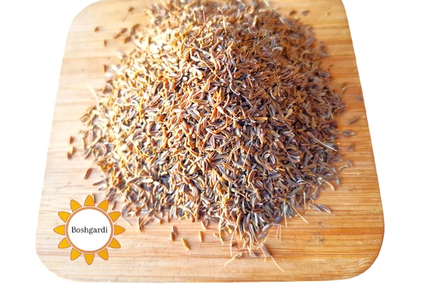 تصویر محصول زیره سیاه -