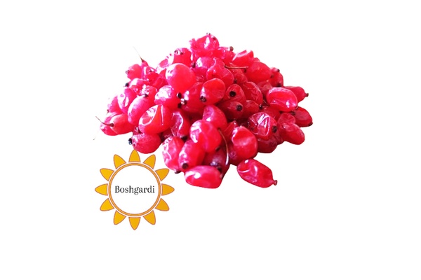 تصویر محصول زرشک دانه پفکی - 