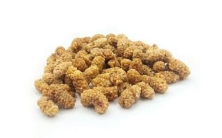 فروشگاه انلاین بشگردی در بشرویه