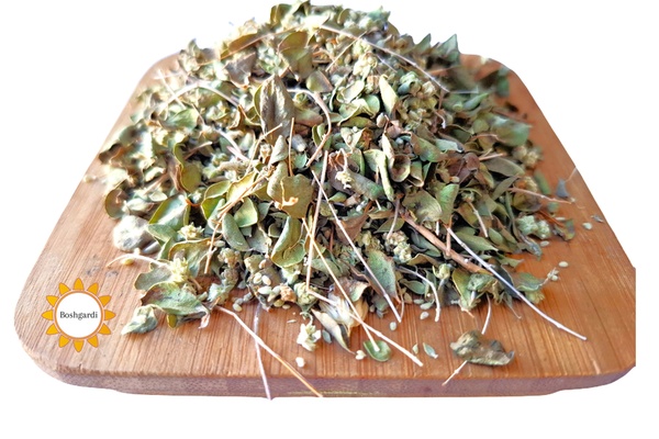 تصویر محصول آویشن - 