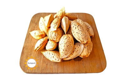 تصویر محصول بادام درختی کاغذی - محصولات کشاورزی