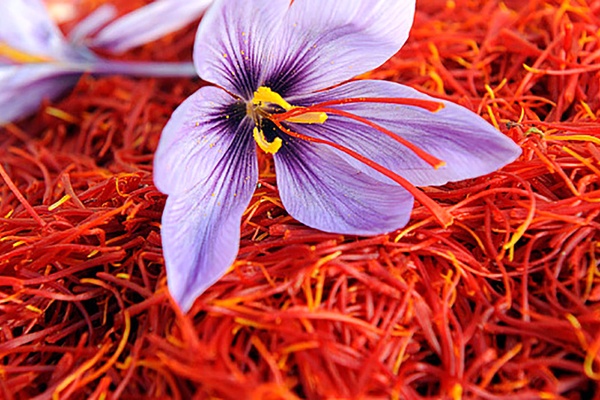 تصویر محصول -